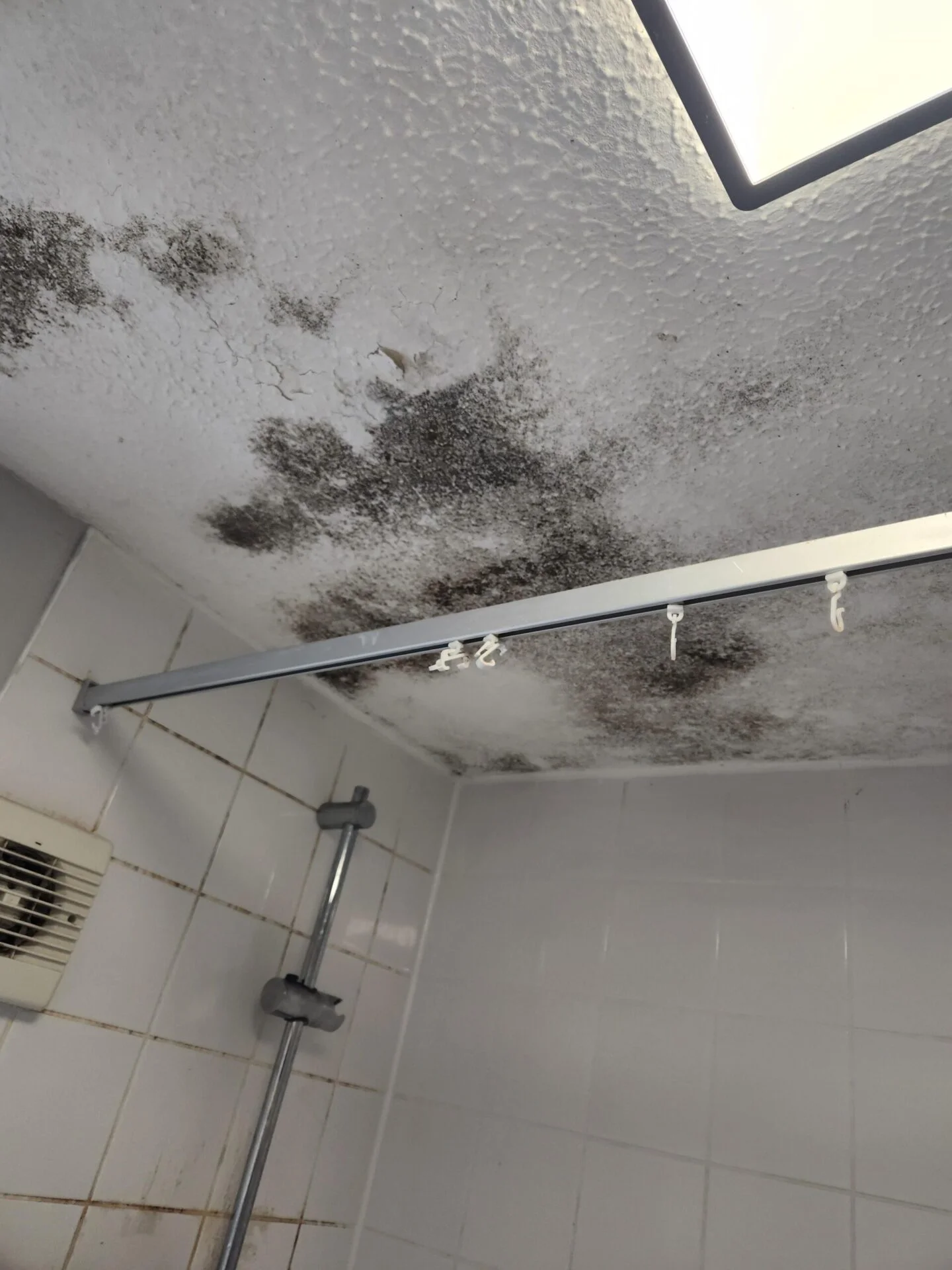 Mobile Home Bathroom Ceiling Mold: What It Means for Your Flooring and How to Protect Your Home in Florida